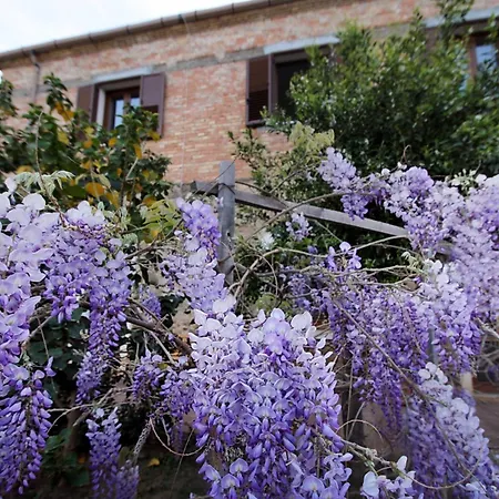 Casa Lucia شقة